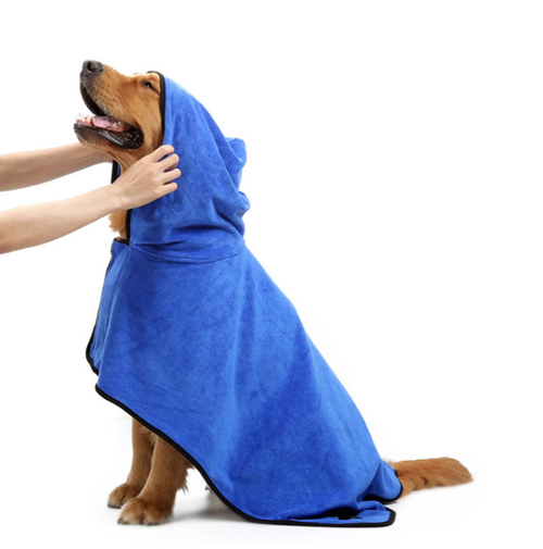 Manipulation pour éponger le chien avec une serviette