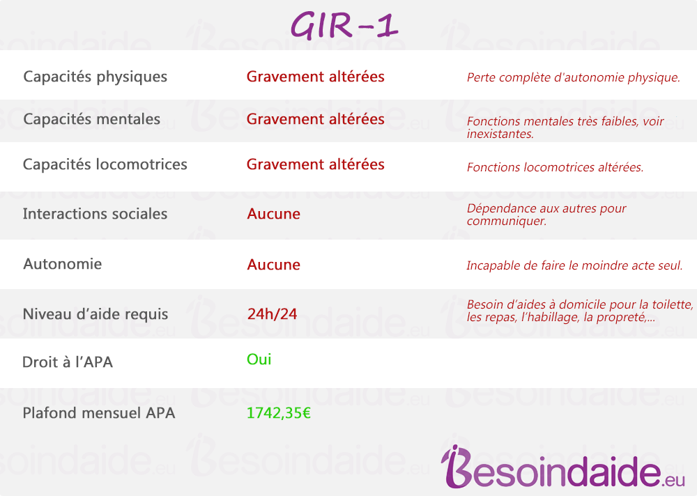 Les caractéristiques du GIR-1