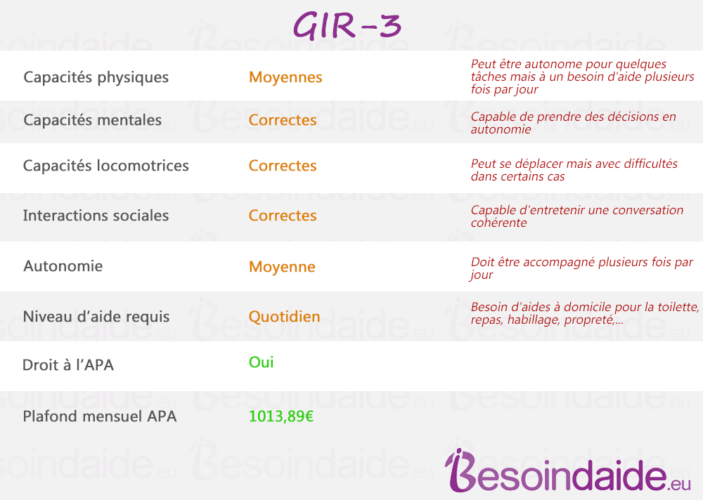 Les caractéristiques du GIR-3