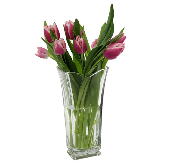 Vase pour tulipe